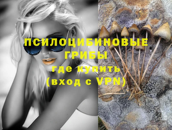 шишки Алзамай