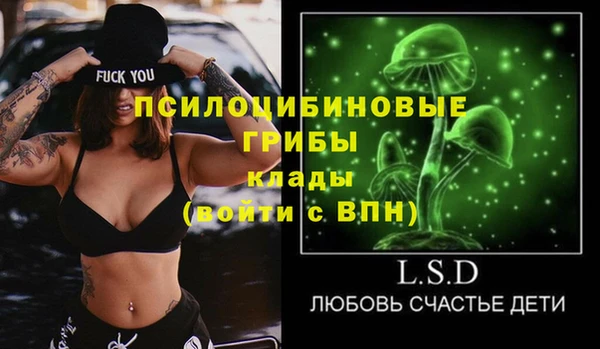 дживик Алексин