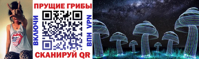 KRAKEN зеркало  Бобров  Галлюциногенные грибы мухоморы 